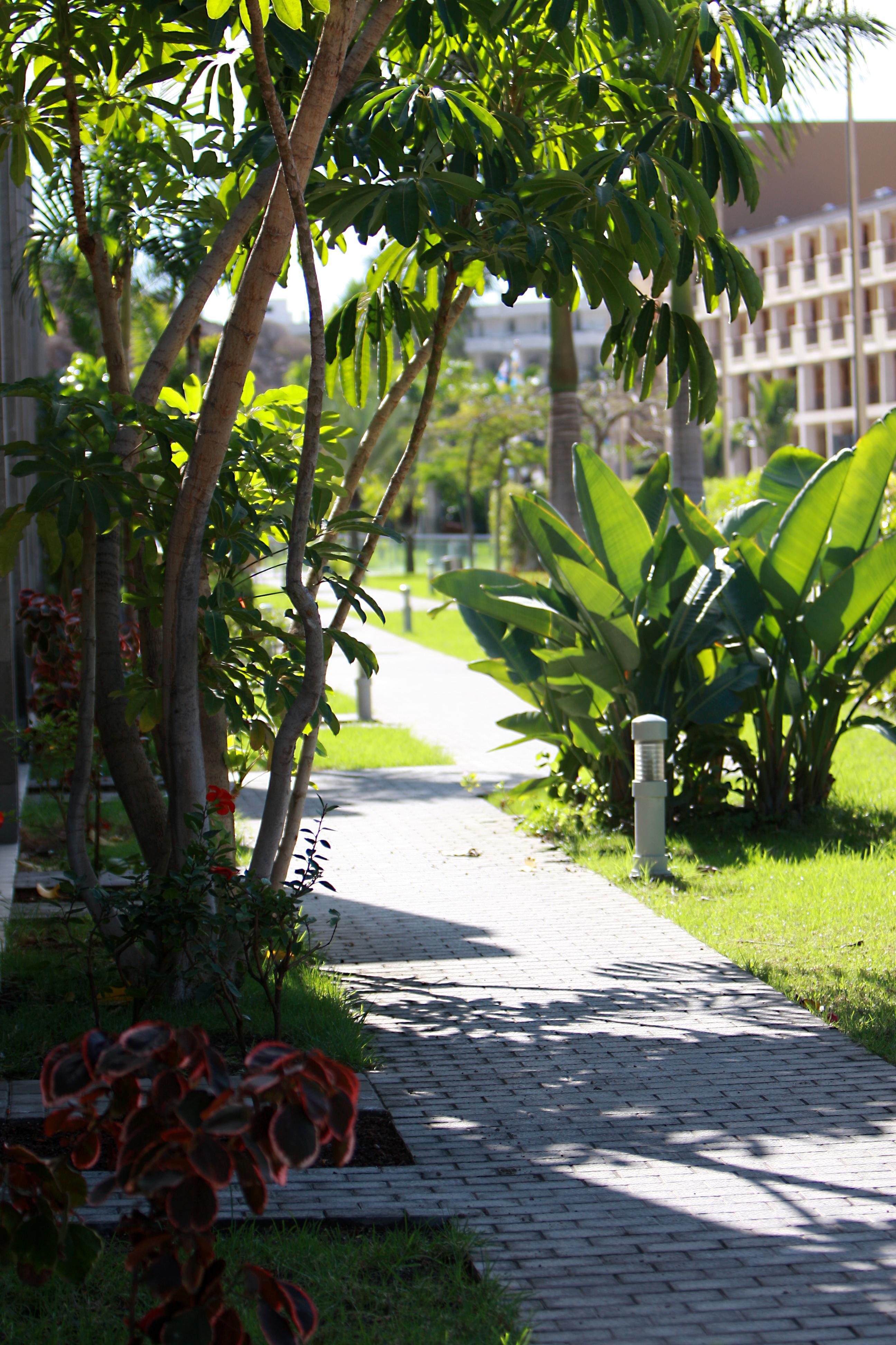 Hotel Livvo Costa Taurito & Aquapark (Adults Only) Екстериор снимка